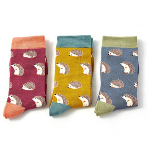 Bamboo Socks in Boxes - Miss Sparrow - Hedgehogs
